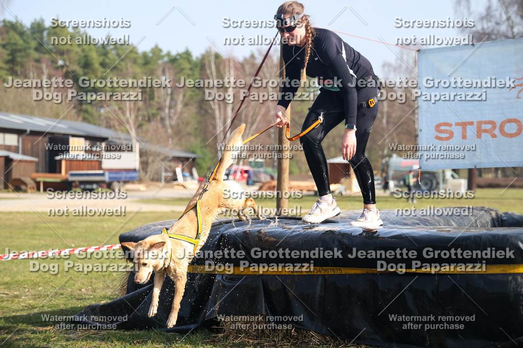 Dog Paparazzi - Strongdog North Mrz26-1733 | Dog Paparazzi Jeanette Grottendiek Fotografie & Videografie - Realisiert mit Pictrs.com