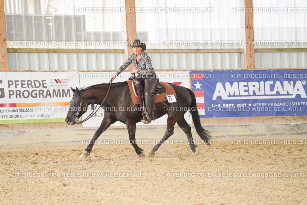 DSC00736 | Pferdegrafie