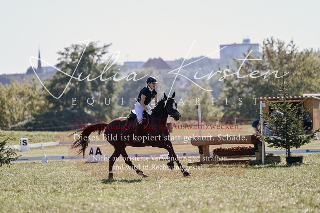 DSC_3544 | Pferde- und Turnierfotografie in Westsachsen. Pferdeportraits, Auftragszeichnungen und intuitive Kunst.
