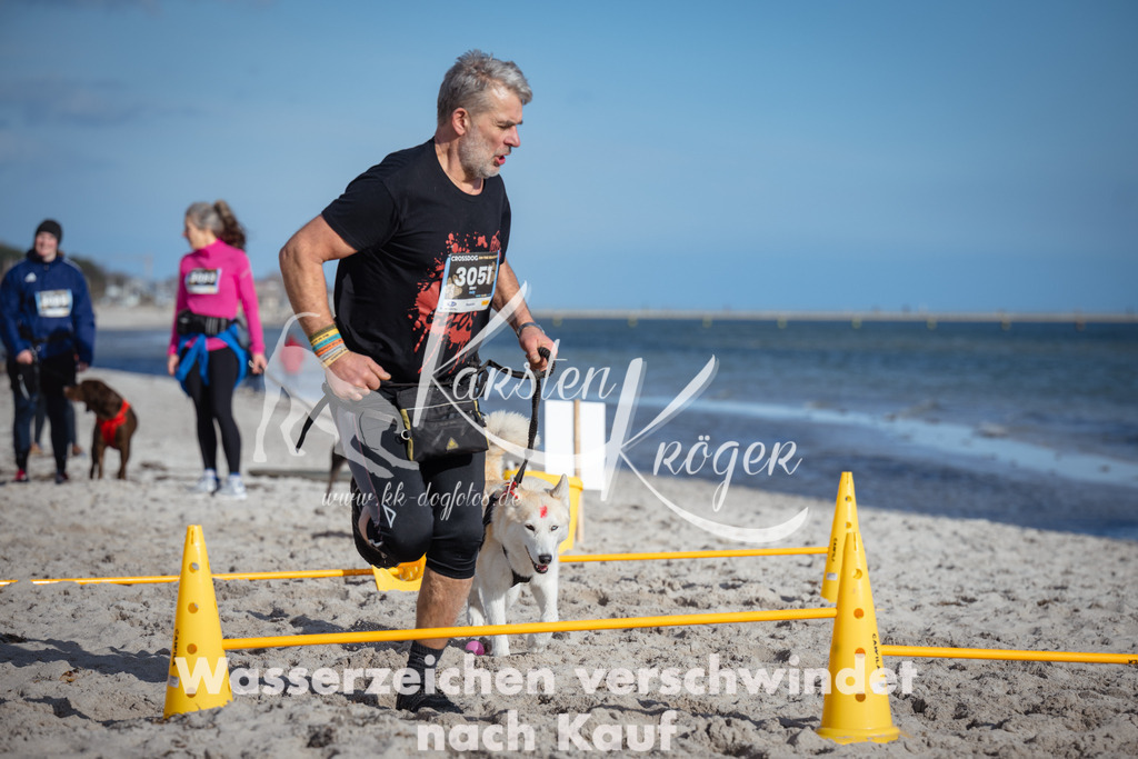 1345_ZZ93309 | kk-dogfotos