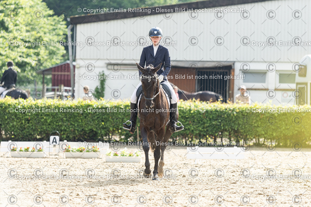 CL5A4303 | Emilia Reinking Fotografie - Realisiert mit Pictrs.com