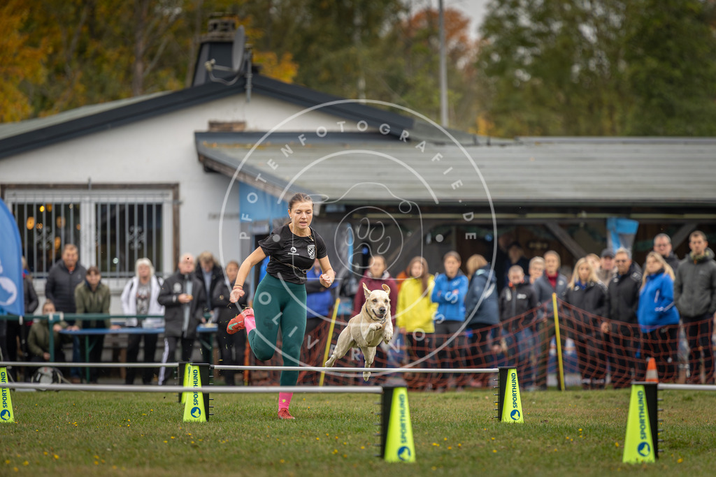 Pfotenfotografie_DV3A3108 | Hundefotografie, Tierfotograf, Pfotenfotografie, Fotoshooting Hund, Hunde Portrait, Hundesport, Hundeportraits, Heideshooting, Hunde, Sportfotograf, Hundefotograf, Turnierhundsport, THS,  - Realisiert mit Pictrs.com