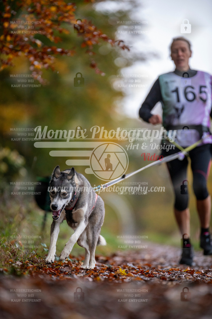 DBT_DAKM_SA_4_11_2023_Canicross-120 | PayLife