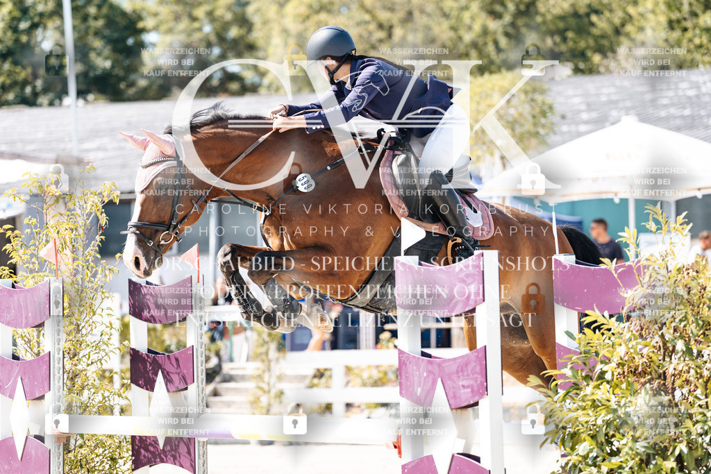 CK908470 | Turnierfotografie Pferdefotografie Trier Rheinland-Pfalz Pferdesport Reitsport Tierfotografie Sportfotografie Pferdevideo Pferdevideografie Equestrianvideography equestrianphotography  - Realisiert mit Pictrs.com