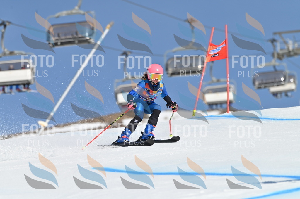 BGV_8217 | holidayphoto