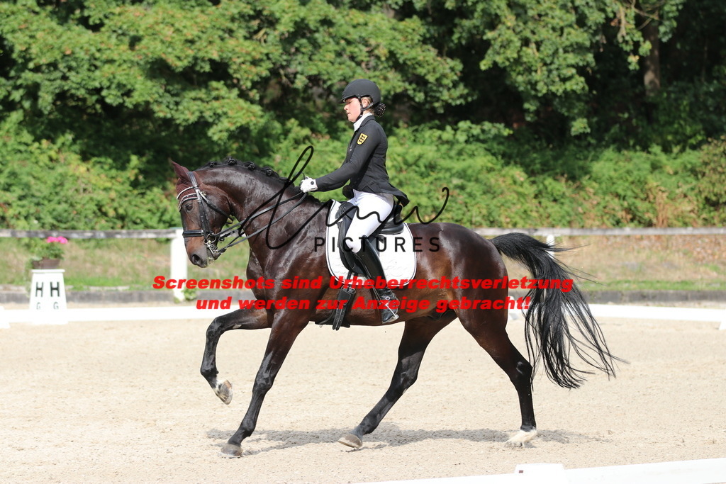 IMG_6658 | lmwpictures - Realisiert mit Pictrs.com