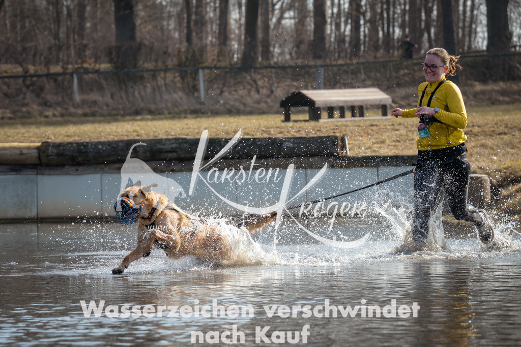 1116_ZZ93505-Bearbeitet | kk-dogfotos