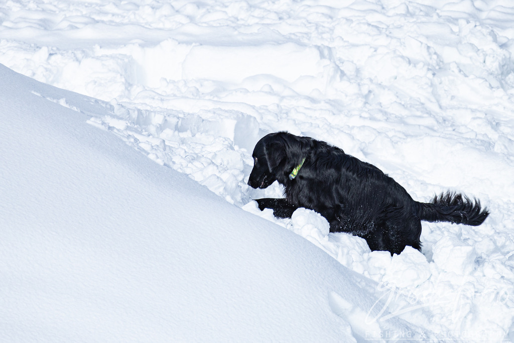 lw_2402-21 | grischafario photography