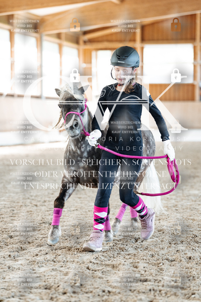 CK907060 | Turnierfotografie Pferdefotografie Trier Rheinland-Pfalz Pferdesport Reitsport Tierfotografie Sportfotografie Pferdevideo Pferdevideografie Equestrianvideography equestrianphotography  - Realisiert mit Pictrs.com