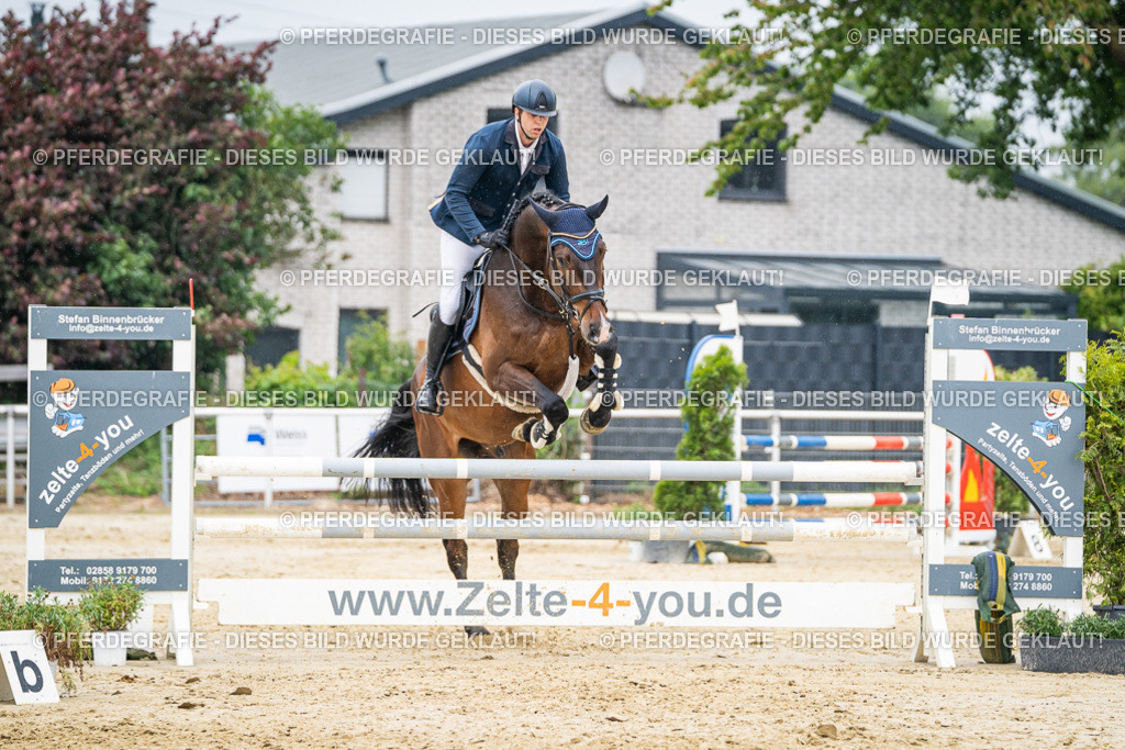 DSC00782 | Pferdegrafie