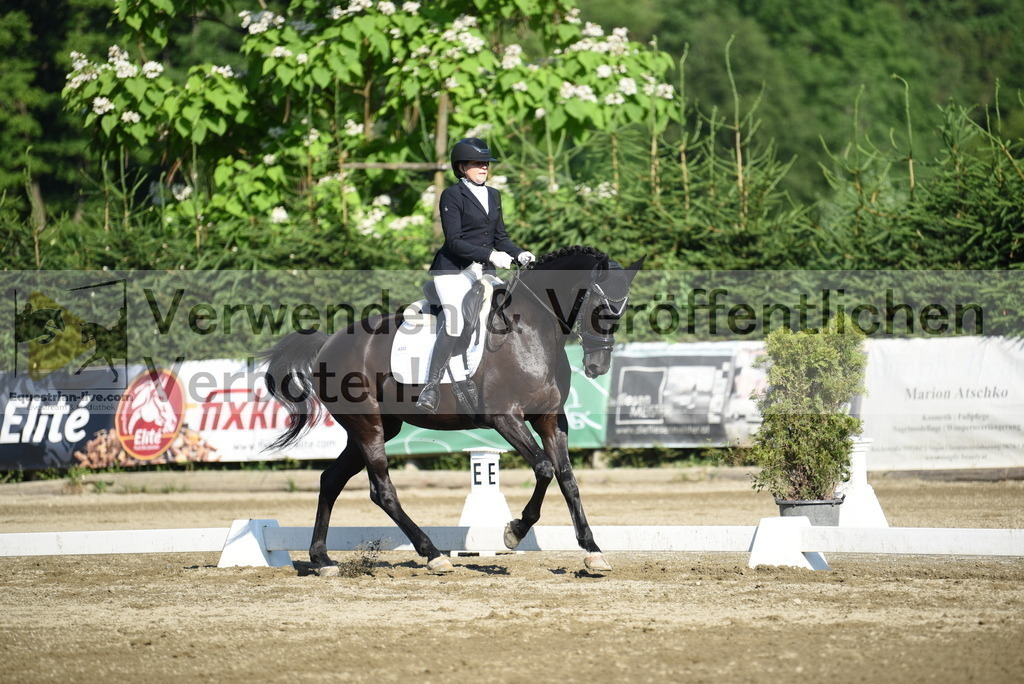 DSC_7055 | equestrian-live-com