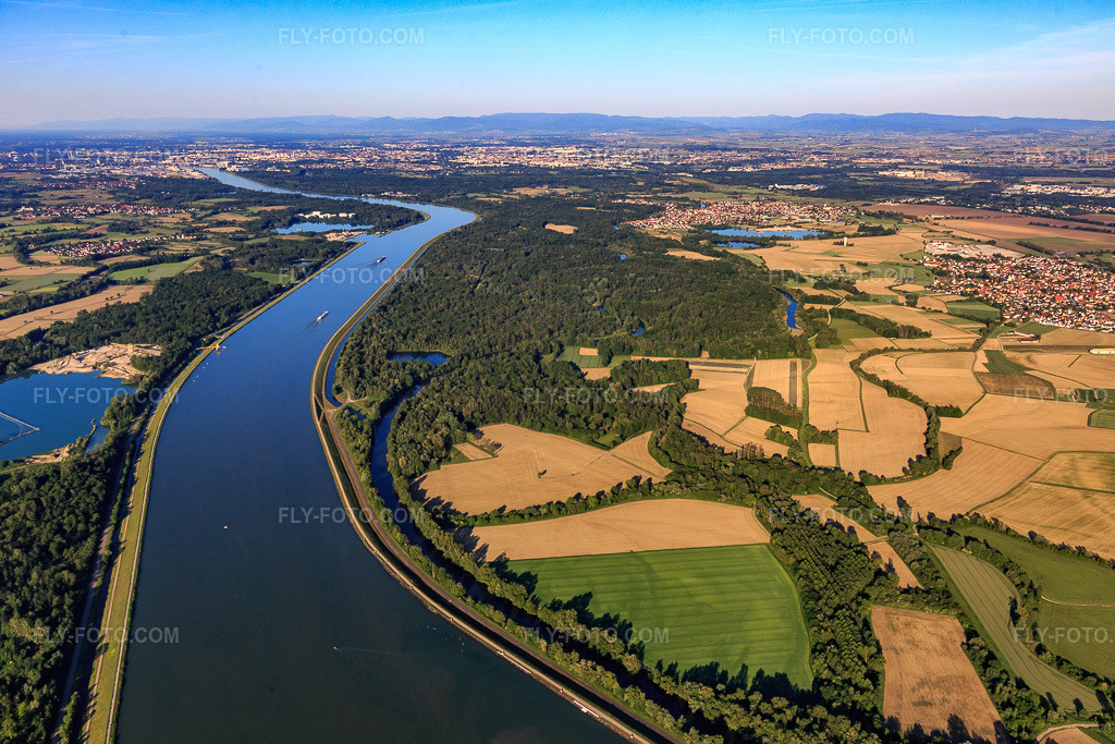 Aerial view: Course of the Ill and Waldrhein rivers along the Rhine in La Wantzenau in the state Bas-Rhin, France. – Photo: IMG_114990.jpg taken on 06/01/2019 by Werner Riehm/FLY-FOTO.com – Resolution of the original: 5472 x 3648 px