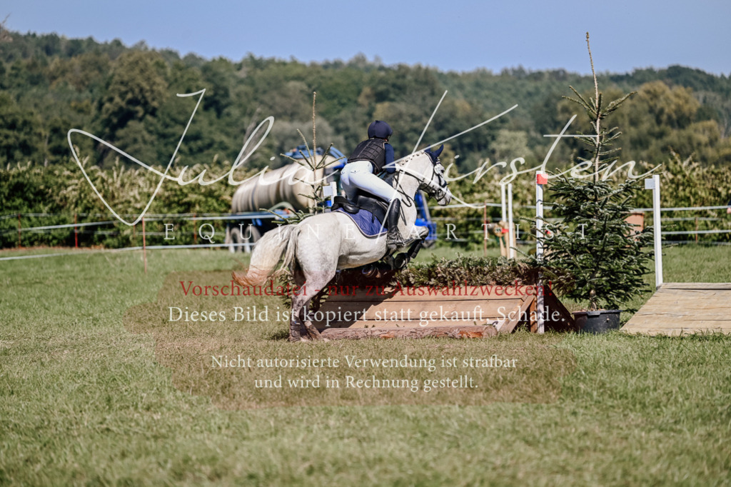 DSC_3201 | Pferde- und Turnierfotografie in Westsachsen. Pferdeportraits, Auftragszeichnungen und intuitive Kunst.