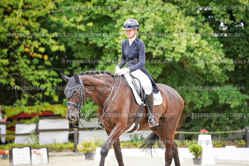 DSC06135 | Pferdegrafie