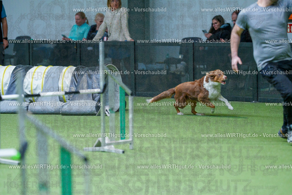 @allesWIRTHgut_Tierfotografie - www.allesWIRTHgut.de - 2604251057-7R500669 | Professionelle Tierfotografie in Mönchengladbach von Daniel Wirth (allesWIRTHgut). Liebevolle & natürliche Bilder von Hunden & Katzen für unvergessliche Erinnerungen.
