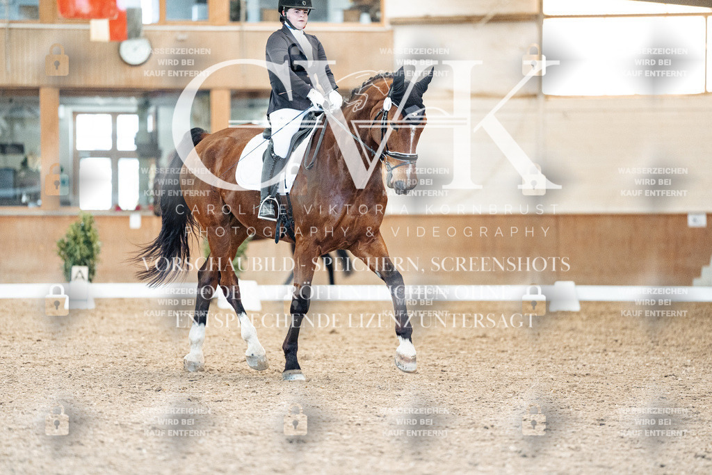 CK909172 | Turnierfotografie Pferdefotografie Trier Rheinland-Pfalz Pferdesport Reitsport Tierfotografie Sportfotografie Pferdevideo Pferdevideografie Equestrianvideography equestrianphotography  - Realisiert mit Pictrs.com