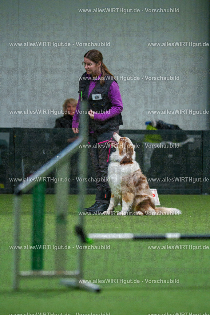 7R503874 | Professionelle Tierfotografie in Mönchengladbach von Daniel Wirth (allesWIRTHgut). Liebevolle & natürliche Bilder von Hunden & Katzen für unvergessliche Erinnerungen.