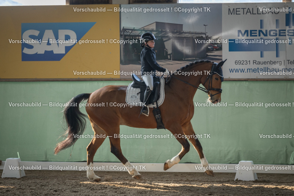 _D5A8203 | Emotionale Pferde- & People-Fotografie rund um Heidelberg, Leimen & Umgebung. Natürliche Fotos von Pferd, Mensch & Familie. Jetzt Termin sichern!