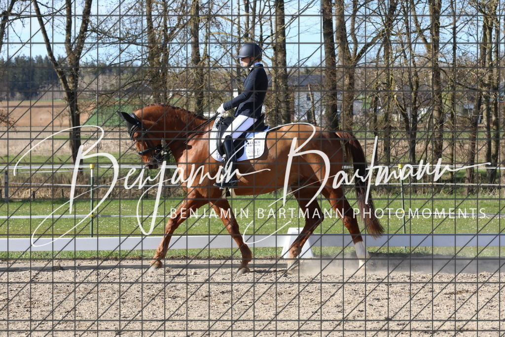 AZ2A5353 | Benjamin Bartmann Photomoments