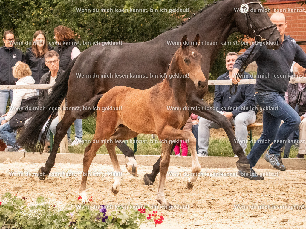 A10I1515 | photographylinaismer - Realisiert mit Pictrs.com