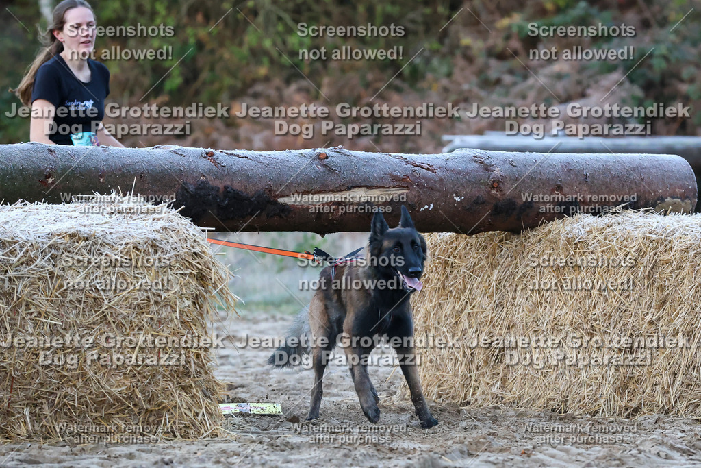 Dog Paparazzi - Strongdog 10-25-67 | Dog Paparazzi Jeanette Grottendiek Fotografie & Videografie - Realisiert mit Pictrs.com