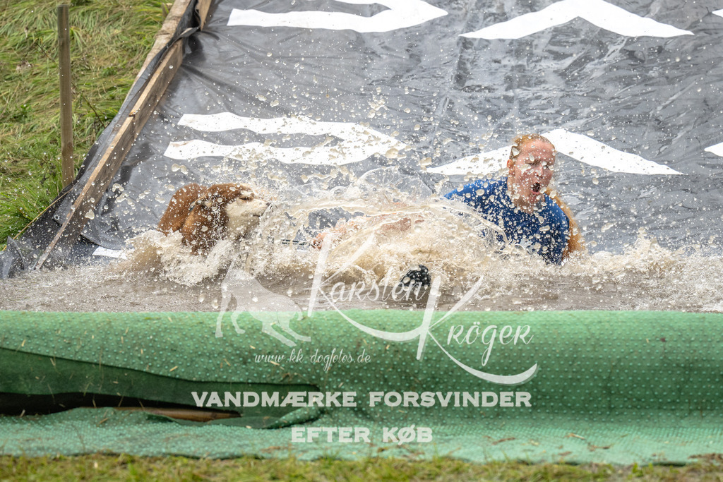 1557_ZZ91594 | kk-dogfotos