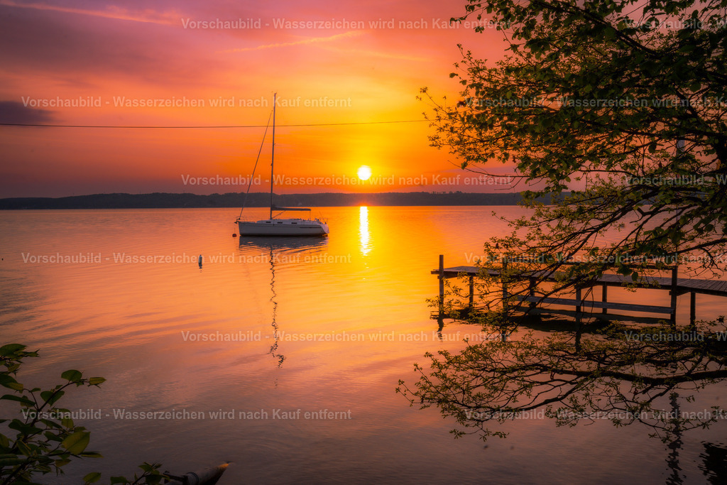 DSC08045 | marcuslinek