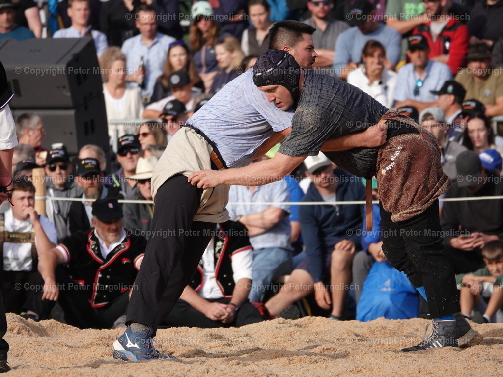 DSC08340 | Schwingen - Realisiert mit Pictrs.com