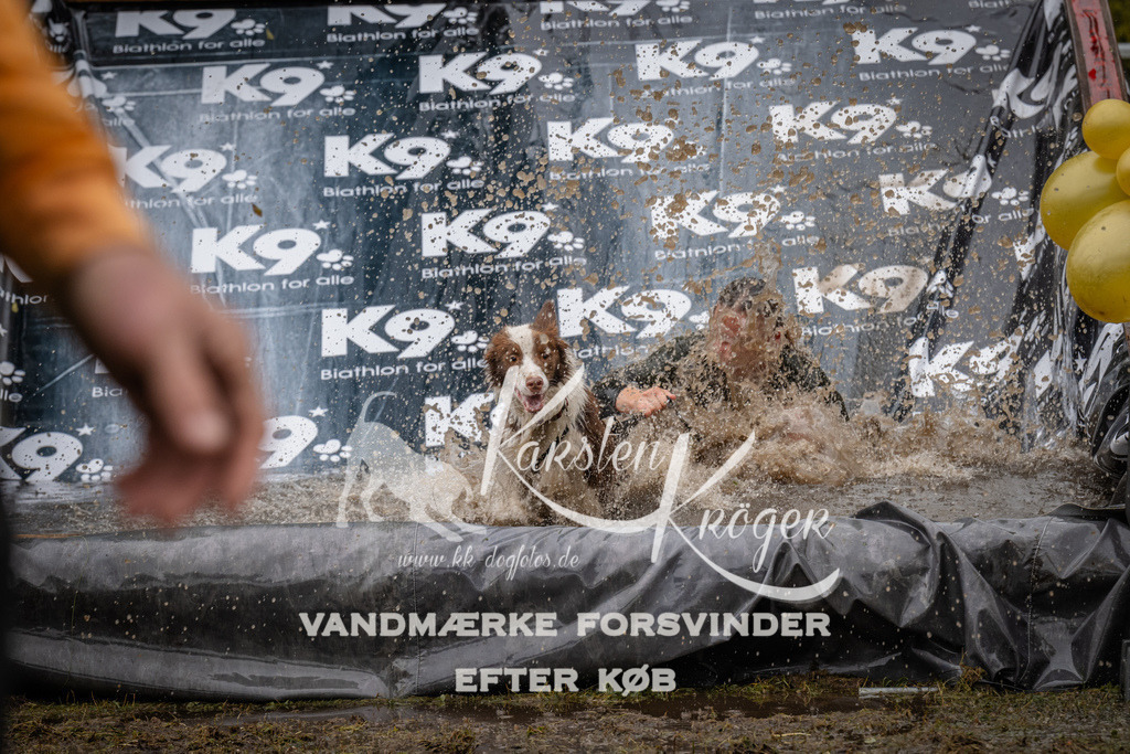 1259_ZZ90837 | kk-dogfotos