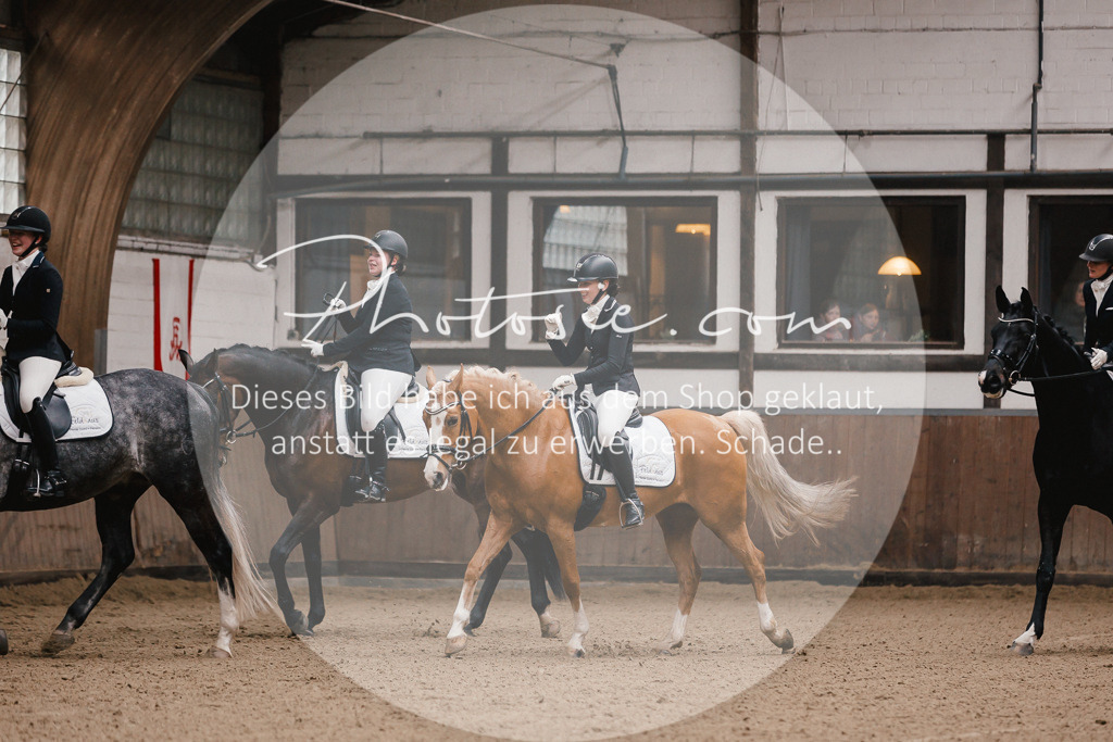 3I6A7116 | Stimmungsvolle Portraits und Reitsportfotografie im Ruhrgebiet und im Münsterland.

Pferdefotografie, Hundefotografie, Tierfotografie, Reportagen, Portraits von Tier und Mensch, Turnierfotografie in Bochum, Recklinghausen, Marl, Haltern am See, Dülmen.. - Realisiert mit Pictrs.com