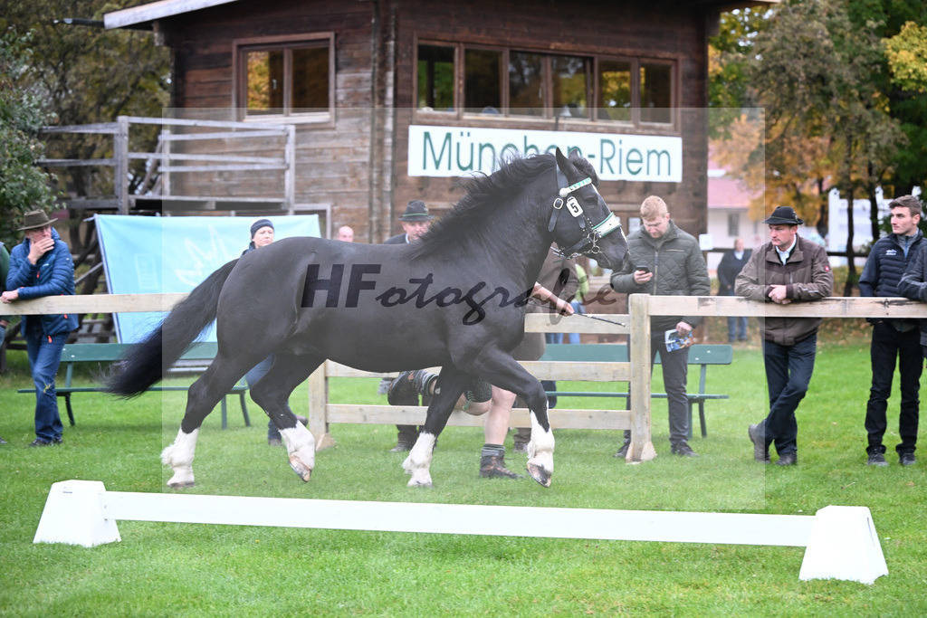 Kat-Nr. 5 Ramminger v. Rudi_Waltenberger_41250085 | hf-fotografie - Realizzato con Pictrs.com