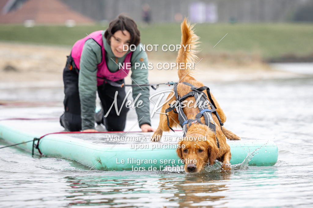 nelerasche_Hulsbeek_Sa1100-1130_225 | nelerasche