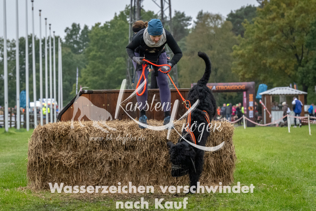 1111-93801 | kk-dogfotos