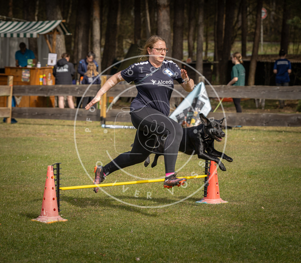 Pfotenfotografie_DV3A9384 | Hundefotografie, Tierfotograf, Pfotenfotografie, Fotoshooting Hund, Hunde Portrait, Hundesport, Hundeportraits, Heideshooting, Hunde, Sportfotograf, Hundefotograf, Turnierhundsport, THS,  - Realisiert mit Pictrs.com