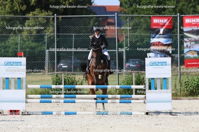 OHT 2022 Röhlingen (71) | Fotografie, Tiere, Hunde, Katzen, Pferde, Sportfotografie, Fotosession, Tierfotografie, Turnierfotografie, Fotografin, Fotograf - Realisiert mit Pictrs.com