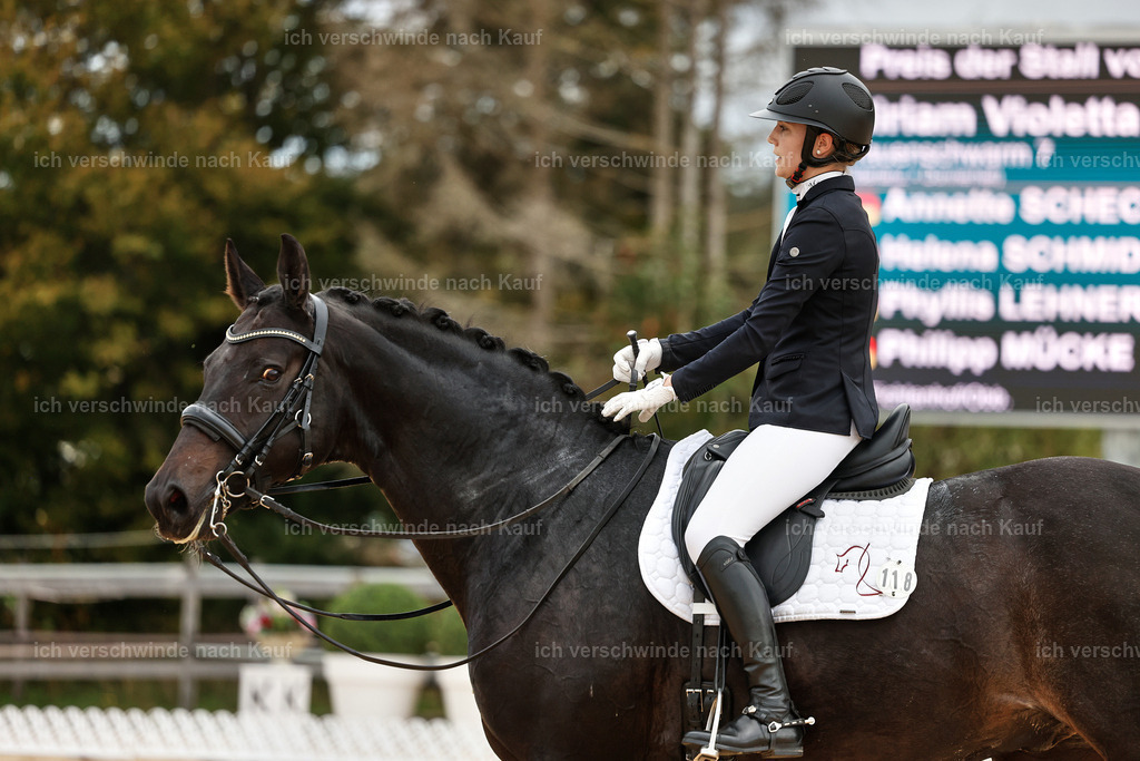 04_1-118-Dressur M__ -StoibPH-StoibPH-2673 | working equitationturnier fotograf videograf stoibphotography marixx film working equitation deutschland reitsport turnierfotografie eventfotografie equestrian events