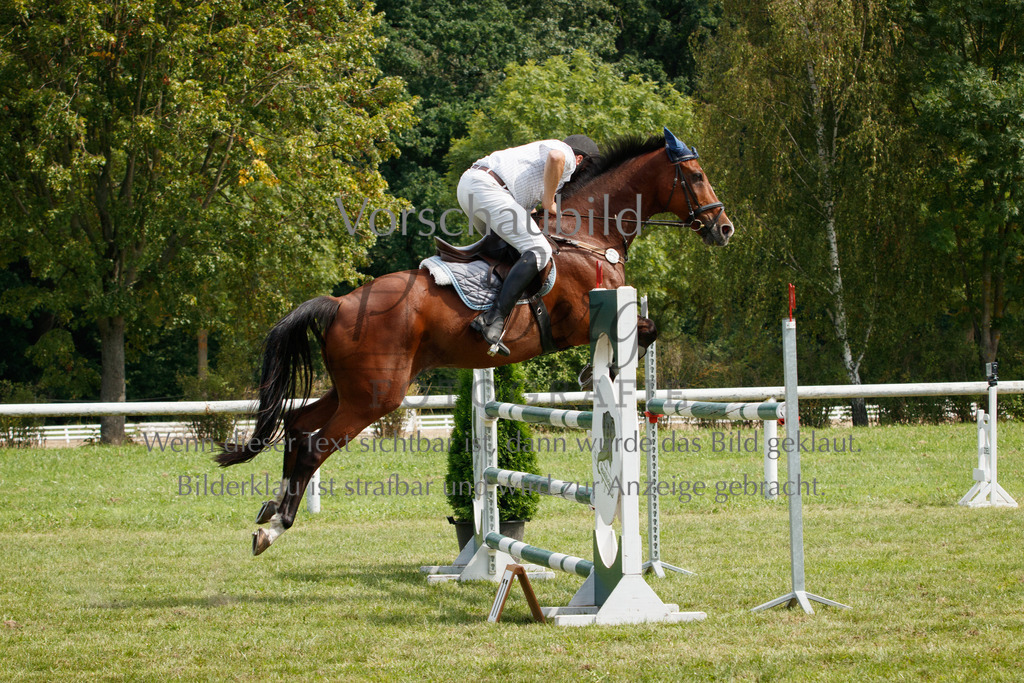 IMG_3454 | P. Berger Fotografie - Realisiert mit Pictrs.com