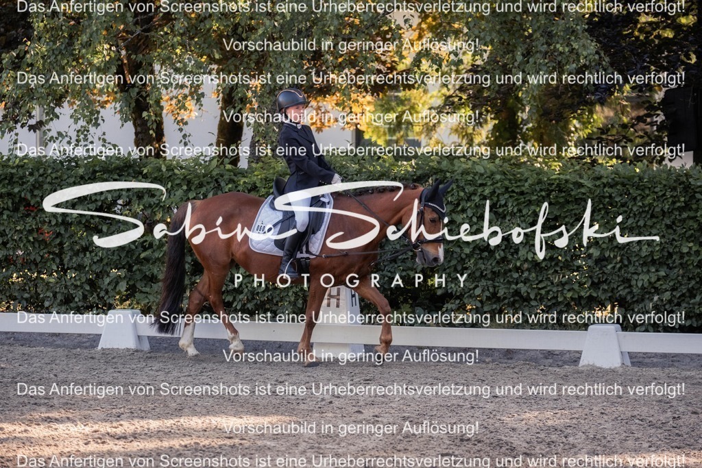 2025_05_31_DSCF2761 | People- und Tierfotografie, Imageaufnahmen, Veranstaltungsfotografie und Wandbilder aus der Natur ★ Made in Germany ✔️ Druck + Downloads ✔️ Naturfotografie in Top Qualität ★ schneller Versand, weltweite Lieferung! - Realisiert mit Pictrs.com