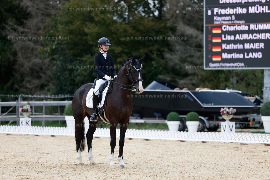 3-147-Dressur M_-StoibPH-2359 | working equitationturnier fotograf videograf stoibphotography marixx film working equitation deutschland reitsport turnierfotografie eventfotografie equestrian events