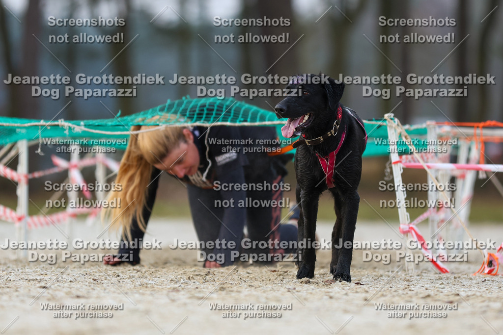 Dog Paparazzi - Strongdog North Mrz26-3675 | Dog Paparazzi Jeanette Grottendiek Fotografie & Videografie - Realisiert mit Pictrs.com