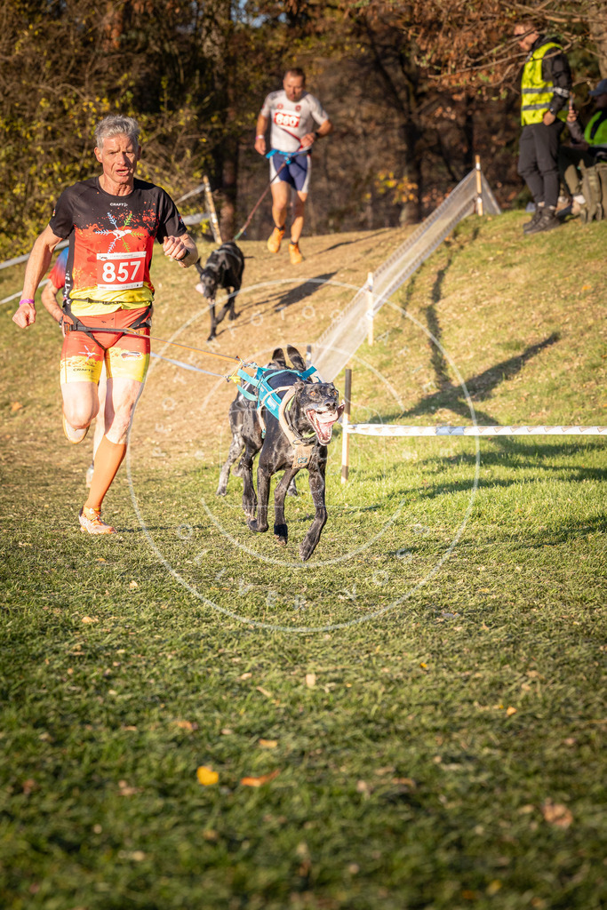 CaniXpix_0L8A0889 | Hundefotografie, Tierfotograf, Pfotenfotografie, Fotoshooting Hund, Hunde Portrait, Hundesport, Hundeportraits, Heideshooting, Hunde, Sportfotograf, Hundefotograf, Turnierhundsport, THS,  - Realisiert mit Pictrs.com