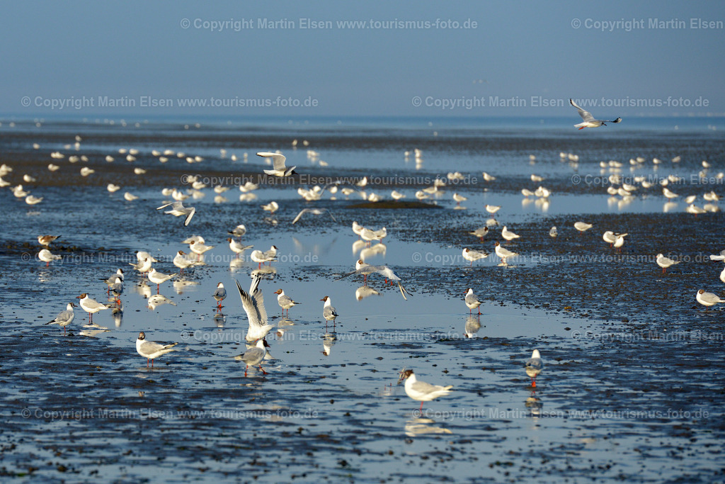 Cuxhaven_ELS_8207260716 | Fotos aus den Touristenorten aus Norddeutschland. - Realisiert mit Pictrs.com