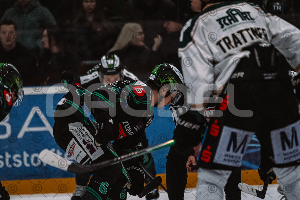 Alligators_vs_Erding_01_02_2026-22 | Höchstadt Alligators Fotogalerie: Eishockey-Action aus Franken. Professionelle Spielfotos, Portraits & Stadionbilder zum Download. Jetzt entdecken! - Realisiert mit Pictrs.com