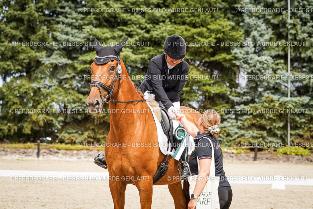 DSC04559 | Pferdegrafie