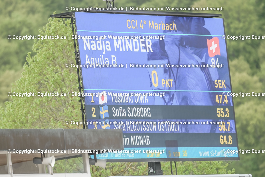 20230514_CCI4_Springen_0044 | equistock