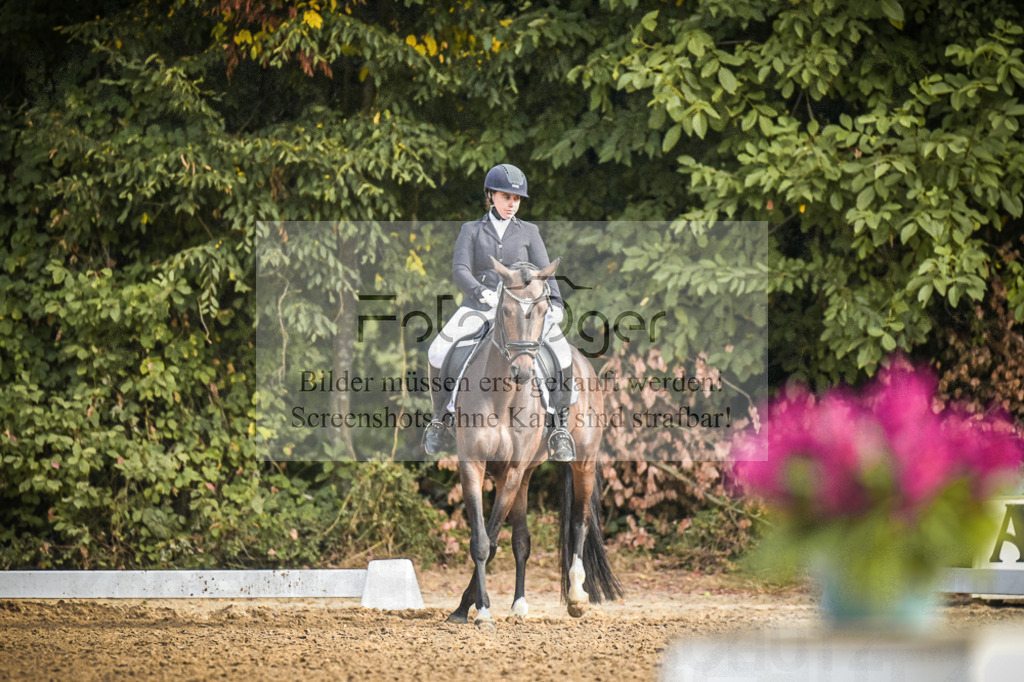 DOS_0027 | Entdecke hochwertige Reitturnierfotos von Foto Oger. Professionell, emotional und authentisch – jetzt Lieblingsmomente im Shop bestellen.Deutschlandweite Turnierfotografie. - Realisiert mit Pictrs.com
