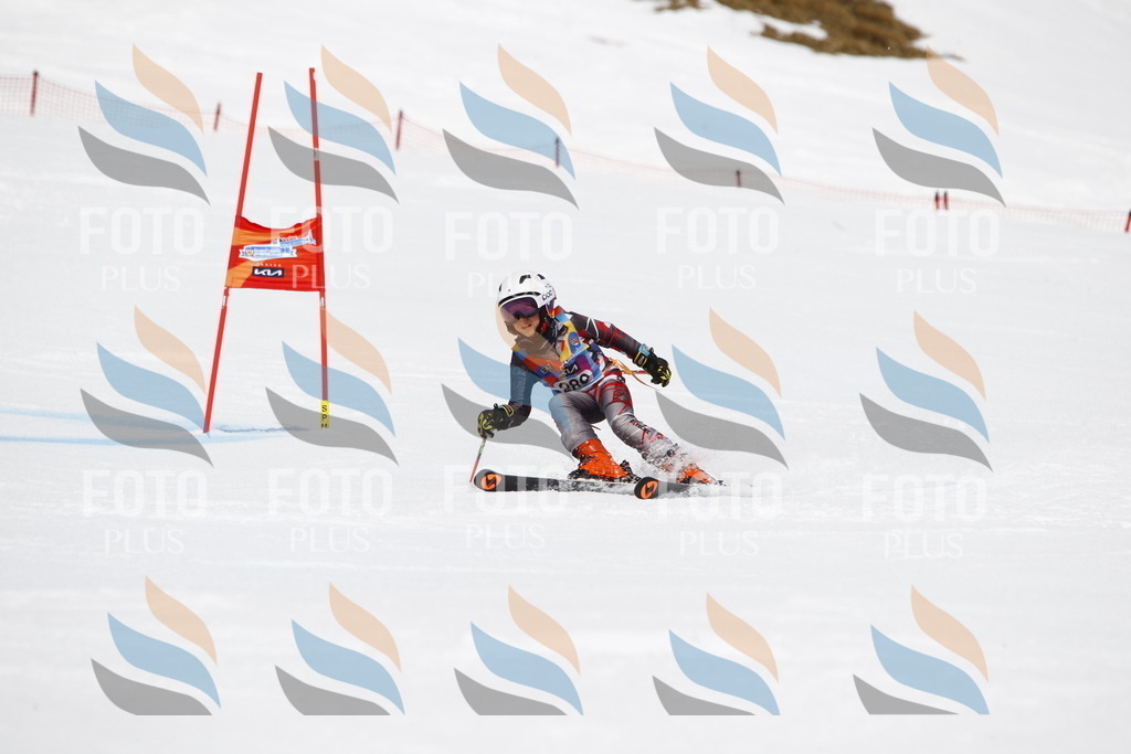 _U3G7237 | holidayphoto