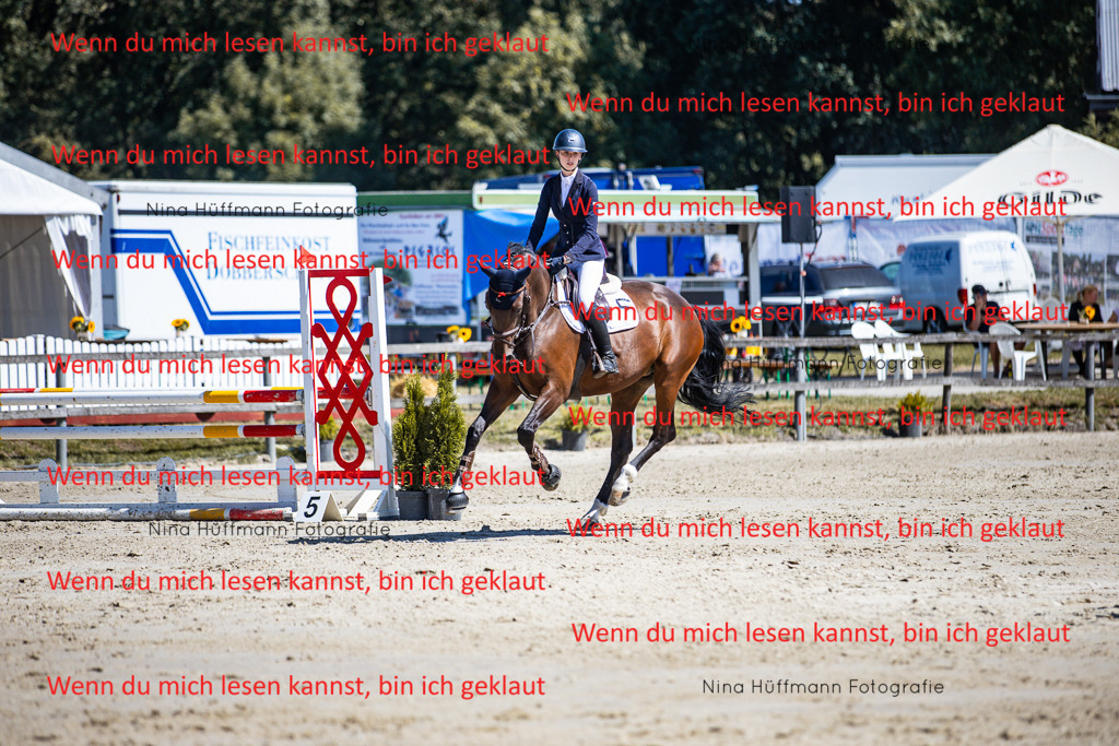 BK1A5456 | Turnierbilder Turnierfotos Nina Hüffmann Turnierfotografie Pferdefotografie Tierzeichnung Haustierzeichnung Pferdezeichnung Hundezeichnung Videograf  - Realisiert mit Pictrs.com