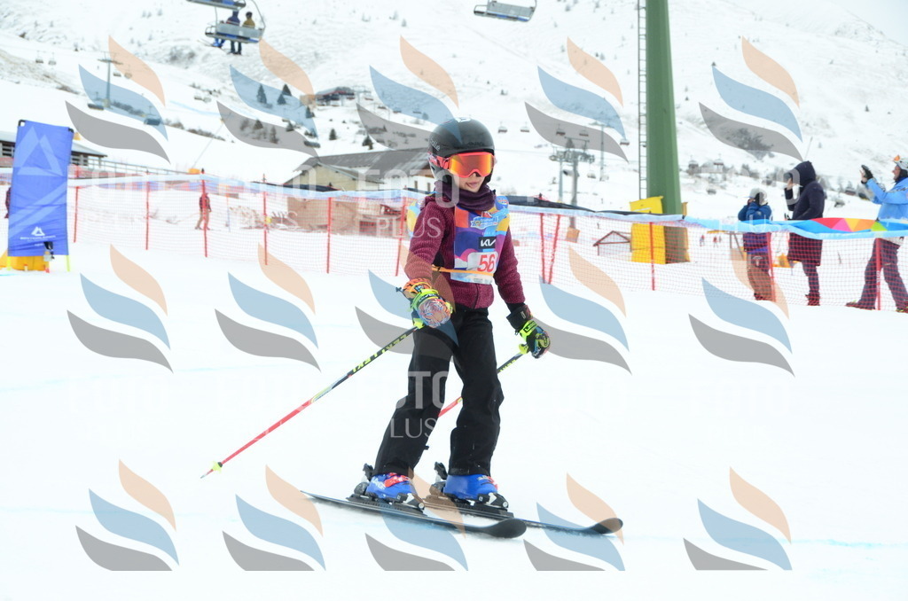 DSC_0984 | holidayphoto