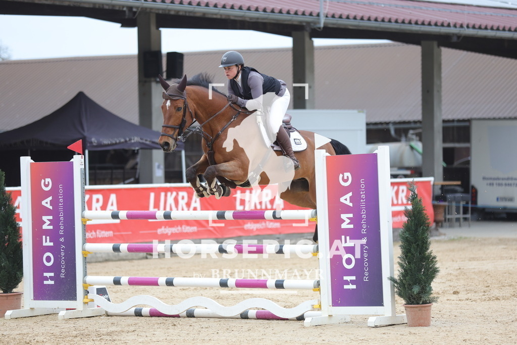 0P6A3223 | Willkommen bei Brunnmayr - Design & Fotografie – Ihrem Spezialisten für Reitturniere und Pferdeveranstaltungen in Oberösterreich, Salzburg und Bayern! Seit über 17 Jahren sind wir leidenschaftlich dabei.